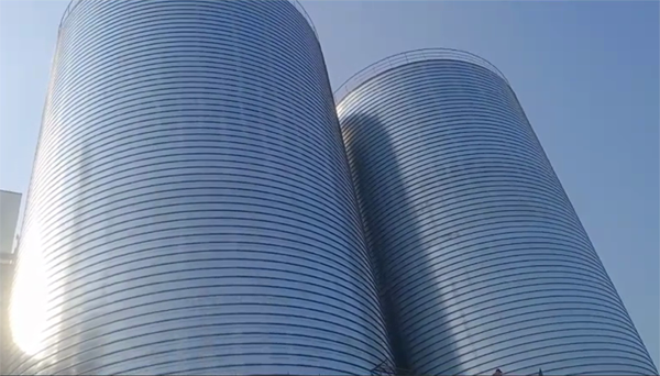 塔河2座混凝土高架卷板仓